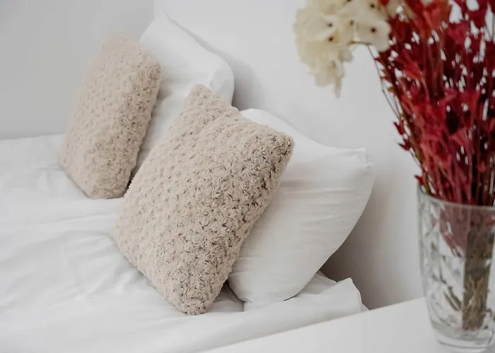 Spacious In With Large Terrace And 2 Parking Spaces By Renters Apartment *